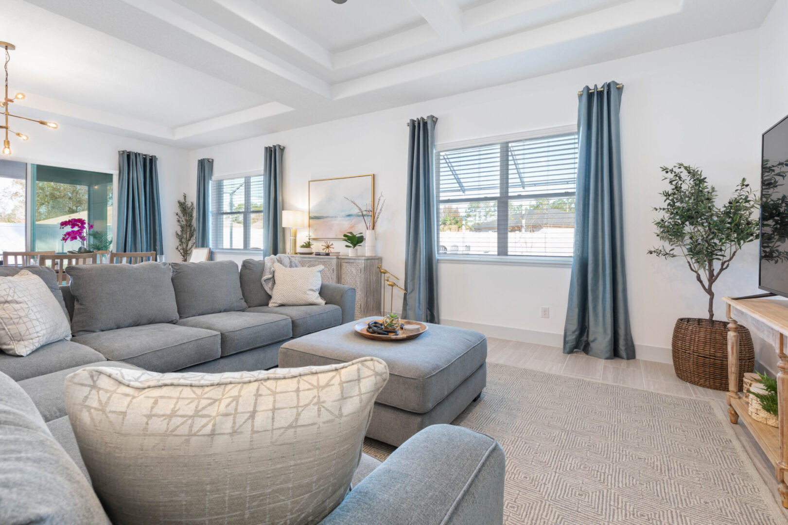 A living room with blue curtains and white walls